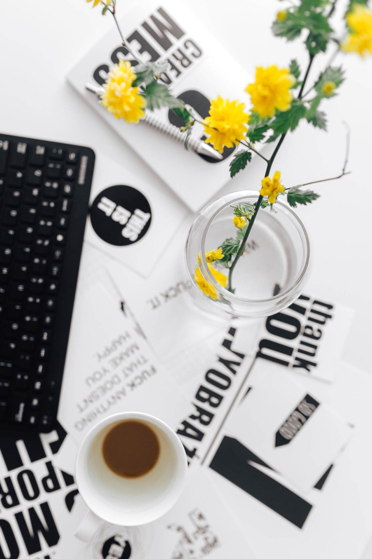 graphic designer Sheffield